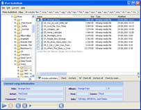 Screenshot of iPod AudioBook