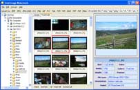 Image Watermark is a professional yet easy tool to apply logo or text to images