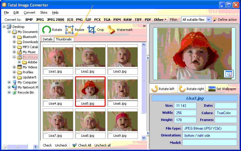 convert html files to pdf