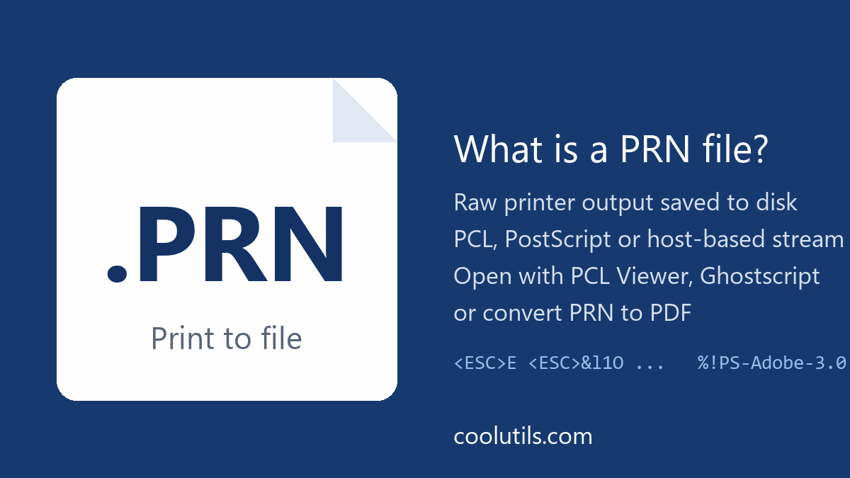 PRN file: raw printer output (PCL or PostScript) saved with Print to file