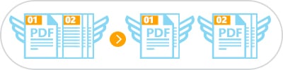 split pdf by invoice number