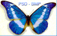 PSD to bmp converter