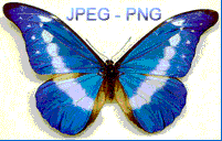 jpeg png converter