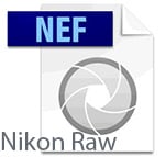 nef format logo