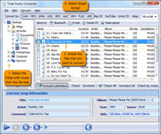 convert flac files to mp3