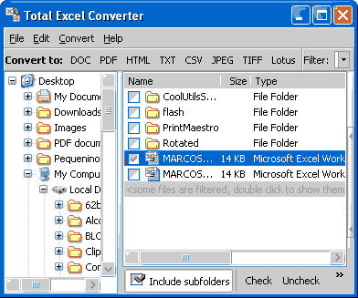xlsconverter