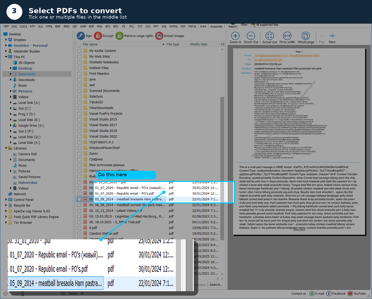 Step 3: Select PDFs to convert in the middle panel